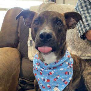 Team Page: Ken Jennings Team